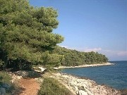 Ciovo